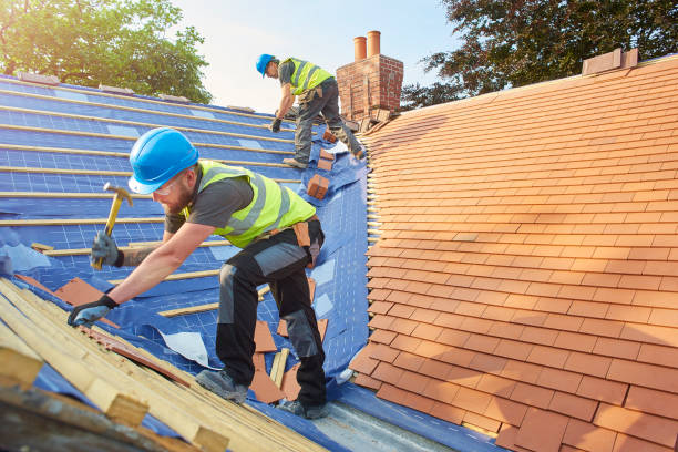 Best Metal Roofing Installation  in Ladue, MO